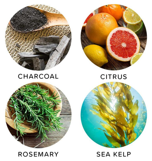 Natural Ingredient Glossary